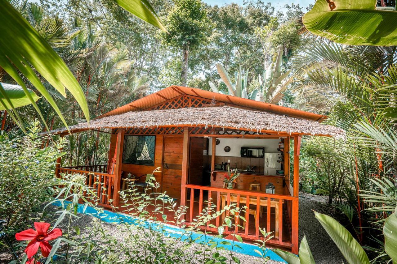 Casitas Las Flores Puerto Viejo de Talamanca Eksteriør billede