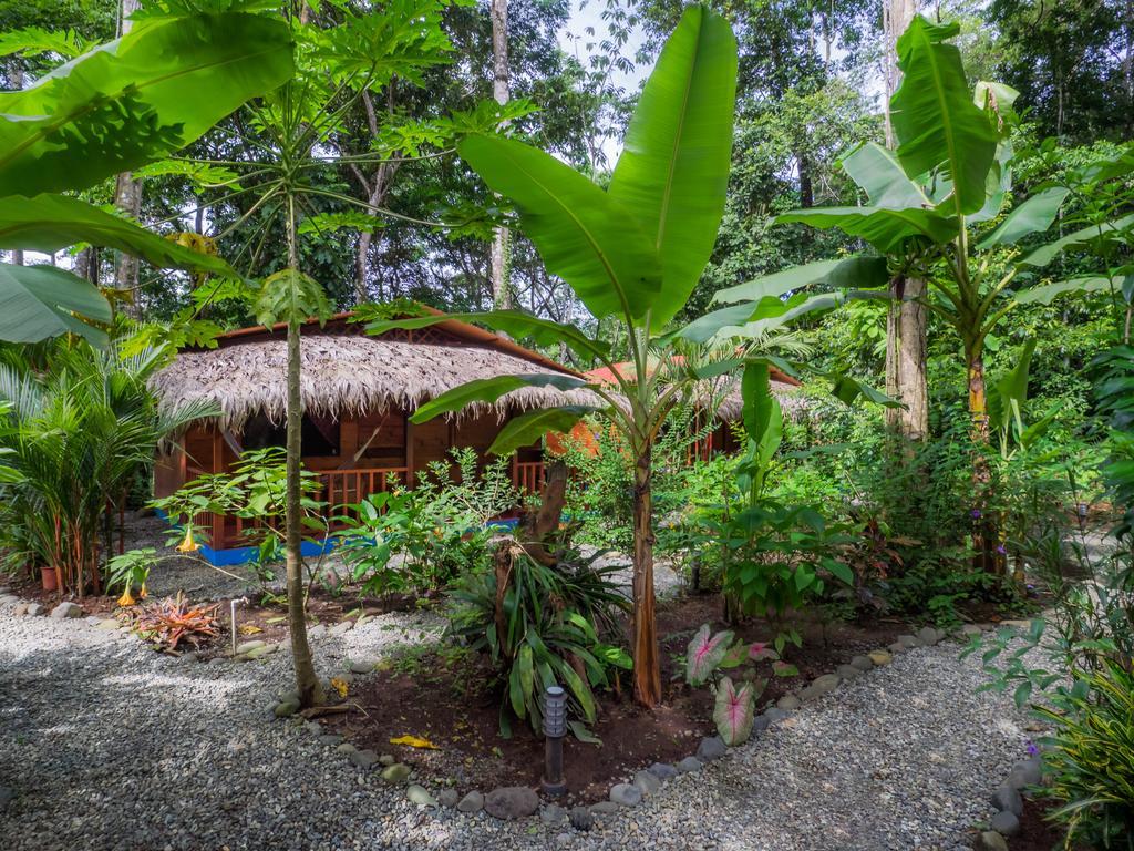 Casitas Las Flores Puerto Viejo de Talamanca Værelse billede