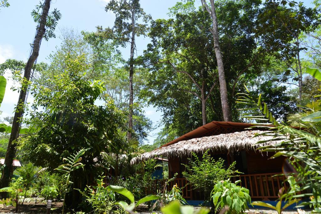 Casitas Las Flores Puerto Viejo de Talamanca Eksteriør billede