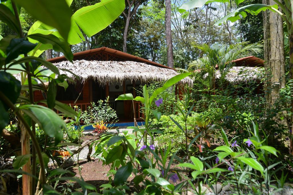 Casitas Las Flores Puerto Viejo de Talamanca Eksteriør billede