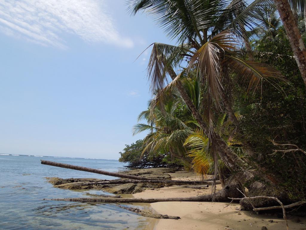 Casitas Las Flores Puerto Viejo de Talamanca Eksteriør billede