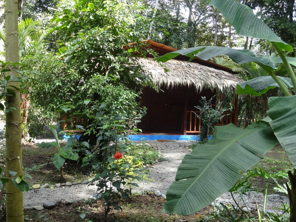 Casitas Las Flores Puerto Viejo de Talamanca Eksteriør billede